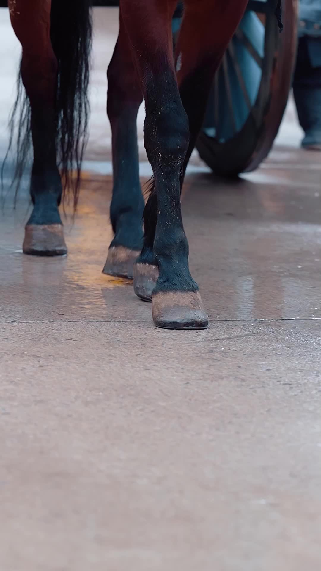 Tập 3 - Nữ Tướng Tái Sinh Trả Thù Gia Tộc